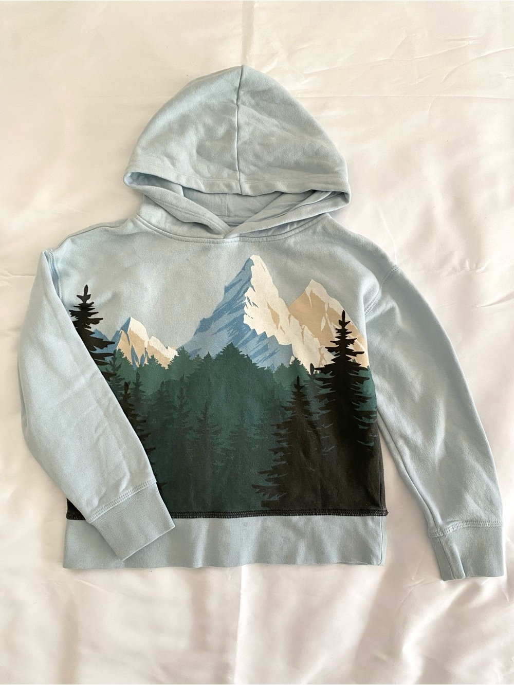 GAP Light Blue Mountain Hoodie with Forest Graphic